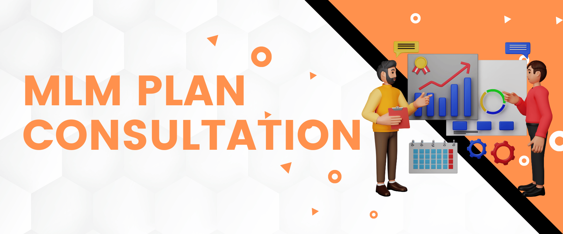 MLM Plan Consultation