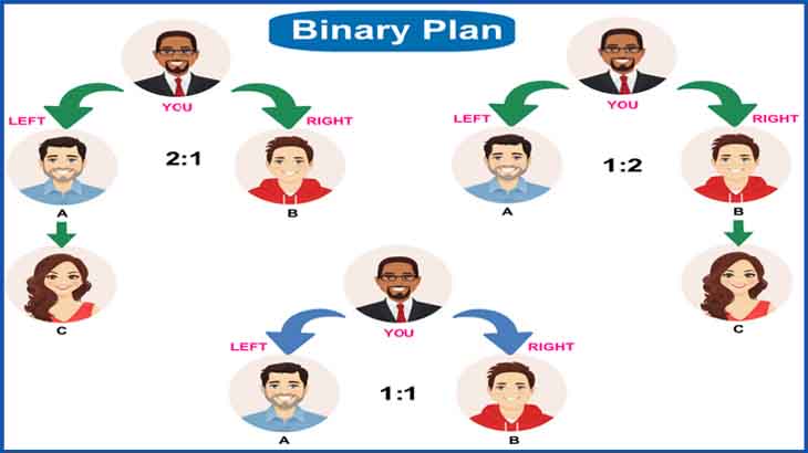  Binary MLM Software Development
